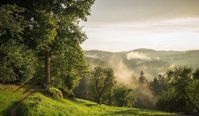Julia Scheib Shines in Kronplatz Giant Slalom Victory!