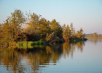 Is America’s Measles Elimination Status in Jeopardy? Uncover the Implications for Public Health!