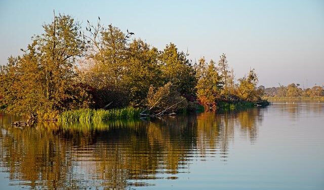 Is America’s Measles Elimination Status in Jeopardy? Uncover the Implications for Public Health!