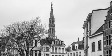 Breaking Barriers: Tosyalı Urges the EU to Remove Quotas on Türkiye and Algeria