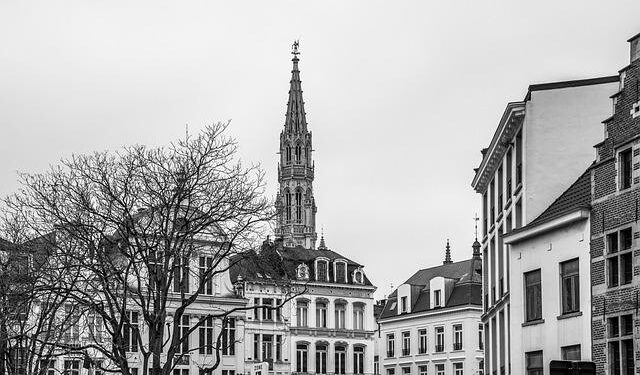 Breaking Barriers: Tosyalı Urges the EU to Remove Quotas on Türkiye and Algeria