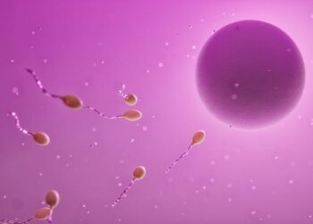 Breaking the Spell: Debunking the Myth of the Sexual Paradise