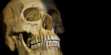 Unraveling the Mystery: Neighbors Share Chilling Insights After Skull Found in Pitcairn Home