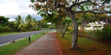 Fiji Rugby Union Teams Up with Red Tiger Marketing for Global Success!