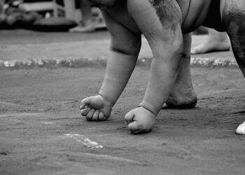 Empowering Futures: How Japan is Enhancing the India-Australia Critical Minerals Alliance