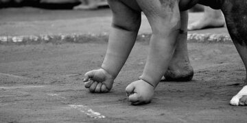 Empowering Futures: How Japan is Enhancing the India-Australia Critical Minerals Alliance