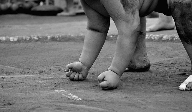 Empowering Futures: How Japan is Enhancing the India-Australia Critical Minerals Alliance