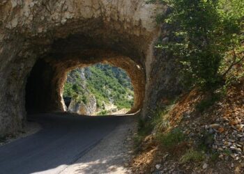 Montenegro Embraces Innovation: Transforming Goods Transit with a State-of-the-Art Digital System!