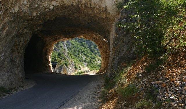 Montenegro Embraces Innovation: Transforming Goods Transit with a State-of-the-Art Digital System!