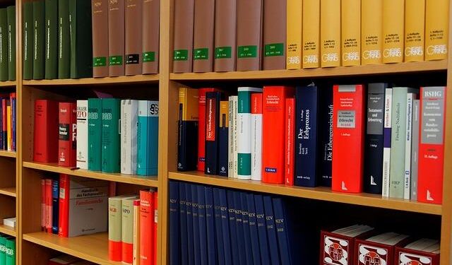 Energizing Zambia: Exploring the Future of Energy Laws and Regulations for 2026