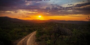 Transforming Lives: The Impact of a Chinese-Built Road on Northern Rwanda’s Economic Boom