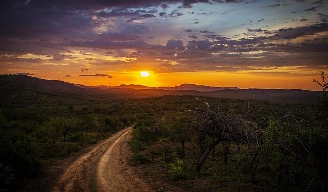 Transforming Lives: The Impact of a Chinese-Built Road on Northern Rwanda’s Economic Boom