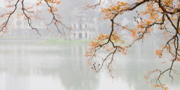 Crucial Türkiye-Greece Talks Set for February as Aegean Tensions Escalate