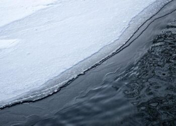 Banijay Finland Unveils Thrilling New Scripted Series: Dive into Queen Heist and The Good Widow!