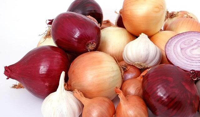 Unraveling the Past: Bosnia and Herzegovina’s Transformative Journey 30 Years Post-Dayton Peace Agreement