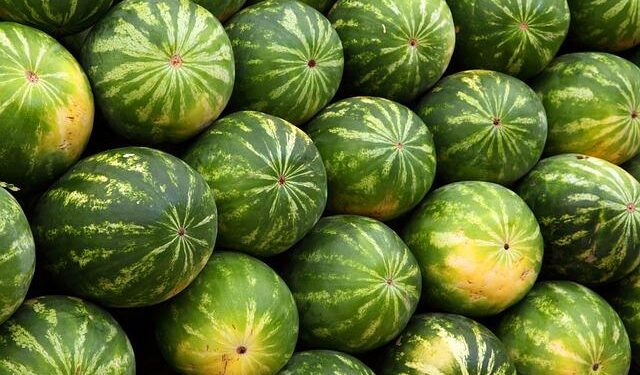 SITC’s Skyrocketing Success: Transforming Intra-Asia Market Dynamics and Profits!