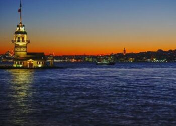 Chad Brown’s Rising Stars: Schoolyardsuperman and Ottinho Dazzle in the Withers!