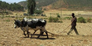 Ethiopia and Eritrea: Rising Tensions Threaten Regional Stability