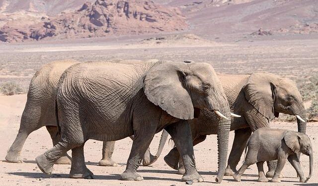 Revolutionizing SCZONE: The $8 Million Food Industries Project in Partnership with Pitcairn Group!