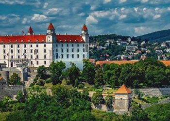 Reimagining Slovakia’s Healthcare: A Bold Vision for 2025