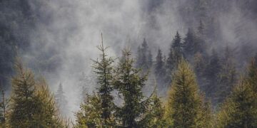 Unleashing Quantum Power: How Romania and Bulgaria Are Pioneering the Future of Advanced Computing