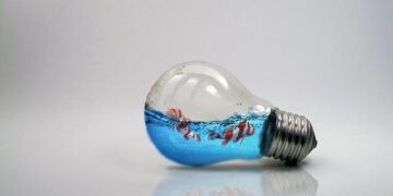 Brilant Milazimi Unveils Kosovo’s Artistic Vision at the 61st Venice Biennale!