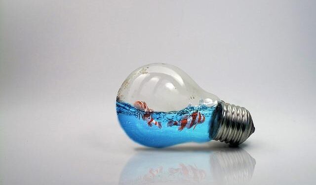 Brilant Milazimi Unveils Kosovo’s Artistic Vision at the 61st Venice Biennale!