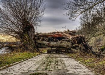 Devastating Floods Displace Hundreds of Thousands in Southern Africa
