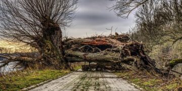 Devastating Floods Displace Hundreds of Thousands in Southern Africa
