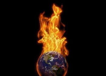 Awakening from Adversity: The Inspiring Transformation of Mauritius After an Ecological Crisis