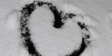 Championing Change: Mauritania’s Bold Steps to Address Migration Challenges and End Collective Expulsions