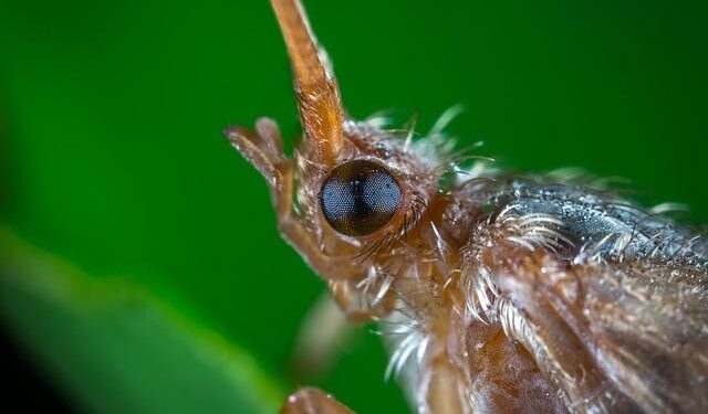 MOL Partners with Libya’s National Oil Corporation to Fuel Future Growth