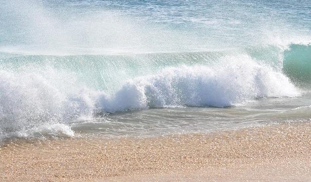 Health Crisis: Shigella Sonnei Outbreak in Cape Verde Raises Alarms After Tourist Fatalities