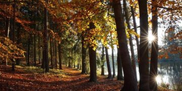 Uncover Europe’s Best-Kept Secret: The Oldest Country Nestled Within a Country!