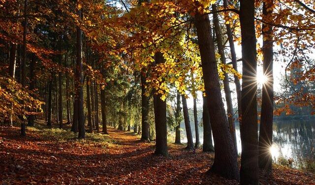 Uncover Europe’s Best-Kept Secret: The Oldest Country Nestled Within a Country!