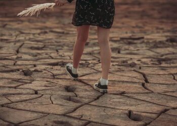 Confronting Tomorrow: The Netherlands and Bonaire’s Battle Against Climate Change