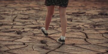 Confronting Tomorrow: The Netherlands and Bonaire’s Battle Against Climate Change