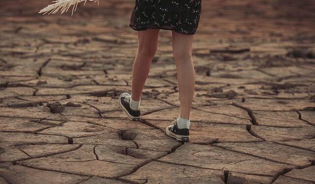 Confronting Tomorrow: The Netherlands and Bonaire’s Battle Against Climate Change