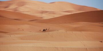 Morocco Cracks Down on Journalists Reporting from Western Sahara