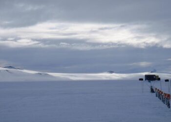 Experience the Magic of Willem Dafoe’s Acclaimed Historical Drama – Now Available for Free Streaming!