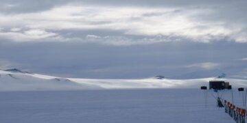 Experience the Magic of Willem Dafoe’s Acclaimed Historical Drama – Now Available for Free Streaming!