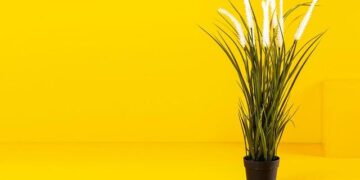 PM Modi to Hold Crucial Discussions with Seychelles President Dr. Patrick Herminie in New Delhi