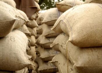 Ghana’s Bold Move: Safeguarding the Cedi with New Offshore Investment Regulations