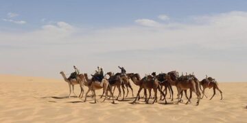 Chad Leistikow Reflects on Iowa Women’s Basketball’s Heartbreaking Defeat to Minnesota