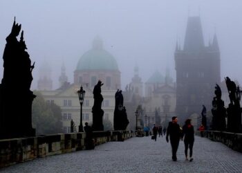 Unveiling the Struggles: Health, Welfare, and Poverty in the Central African Republic