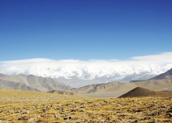 Tragic Shooting of Teen Boys in Pitcairn: Will Justice Be Served?