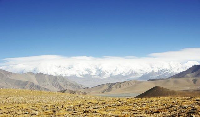 Tragic Shooting of Teen Boys in Pitcairn: Will Justice Be Served?