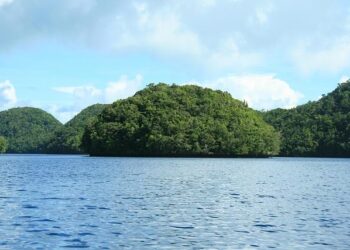 Palau Opens Its Doors to US Migrants: A Bold New Era of Partnership