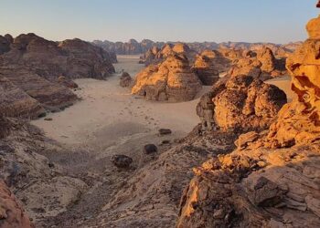 Saudi Arabia and Turkey: Forging a Powerful Alliance for Regional Transformation