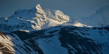 Building Tomorrow: Key Insights and Predictions for Switzerland’s Construction Bearings Market by 2035